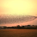 군무 2022-1 이미지