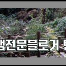 미앙(Miang) 네이버블로그