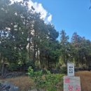 서호농장 | 제주 귤체험 킴스농장귤창고 귤따기 무제한 감귤시식