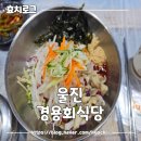 울진회식당 | [울진]물회 회덮밥 맛집 경용회식당 내돈내산 솔직후기