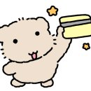 광성정육