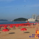 파라솔 Daum카페