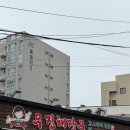 씨유 제주제일점 | 제주 서귀포 여행 3박 4일 1일차 모음zip (우진해장국, 위이, 히든클리프, 숙성도)