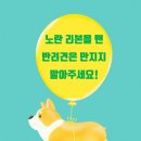 리본푸드 이미지