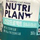플랜다올