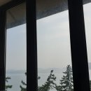 비고리조트 10 이미지