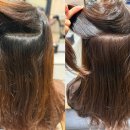 불광역 미용실 이가자헤어비스 NC백화점불광점 뿌리염색 & 레이어드컷 기분전환 성공 후기