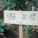 민준농장 이미지