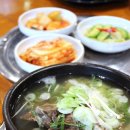 보리식당 이미지
