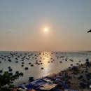가나식당2호점 | [무이네 보케거리 맛집추천] 미스터크랩 :: 해산물 식당 Boke Mr. Crab 2호점 내돈내산 후기