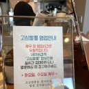 강릉 사천면 케이지없이 애견동반가능한 카페 다녀왔습니다아앙!!!!💕(군고구마디저트맛집)