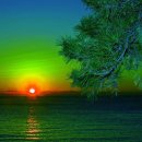 대지(大地)의 꿈 이미지