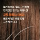 청주 탈모관리 두피케어 생장술 깔끔한 인상 관리로 이미지 변화를 돕는 페디크루 닥터네일