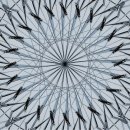 로데오안경 대치점 이미지