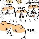 마장동뒷고기 이미지