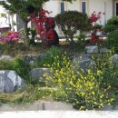 5월펜션 이미지