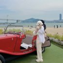 호텔야자 광안리점 | 부산 애견동반여행 광안리 2박 3일 코스