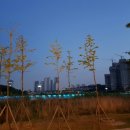 카페 루이 이미지