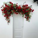 대구웨딩촬영, 스튜디오비엔 방문 솔직후기