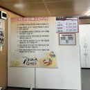 [강원/고성] 가족,연인들과의 이색체험코스_잼버리카트장 솔직후기 (운전면허 여부)