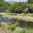 김삿갓면-33 이미지