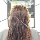 아리아스헤어 이미지