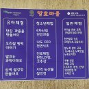 태초애 이미지