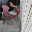 유성크리닝 | 대전입주청소 유성구 갑천2트리풀시티엘리프 – 소개 고객님 현장 후기