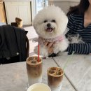 롯데스파랜드