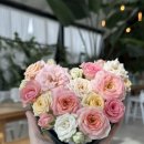 힐링 꽃꽂이 이미지