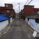 금송도 이미지