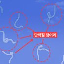 지내 1통2통 경로당 | 비문증으로 고생하는 사람들을 위한 공감의 선택, 내돈내산 한달간 복용기