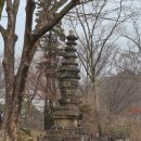 선인협동조합 | 고궁을 다녀오다