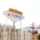 서창그린어린이집 | 인천 아이들과 가볼만한 곳 인천 다육이 카페 피크닉하우스