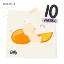 삼성메디칼의원 | [임신일기] 6. 임신 10-14주차 일상, 강북삼성병원에서 니프티검사하고 젠더리빌하기!