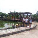 봉아저씨네 민박 이미지