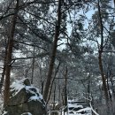 구룡사 | [등산] 눈꽃 터진 치악산 설산 후기 ｜구룡사→비로봉 원점회귀 등산코스, 상고대 타이밍 꿀팁까지