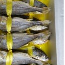 솔내음농장 이미지