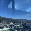 베이커달리아 이미지
