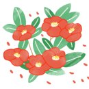 씨타운다이어리(seatown diary) 이미지