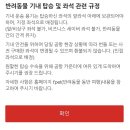 제주도 비행기 티웨이 강아지 기내 탑승 후기