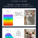 나 사거든 이미지