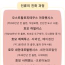 수산리 고인돌 | [미래관] 파묘... 무덤 양식