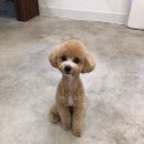 헬로우프리티 이미지