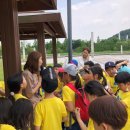 청목초등학교 이미지