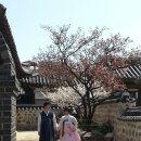 모머니티스냅 이미지