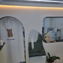 덕개 | 양주애견미용 <덕개>다녀온 솔직한 후기