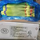 강서물산-수입 이미지