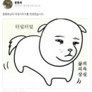 윤동희 초6 때 주장 맡고 원형탈모온거 ㄹㅇ임? 이미지