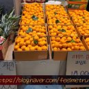 남촌농산 이미지